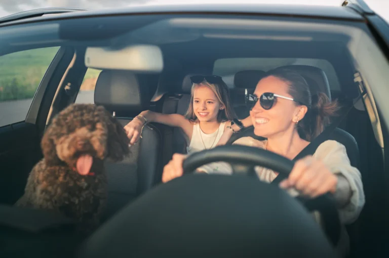 family playing games during travel in the car